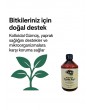 Kolloidal Gümüş Suyu 4*500 ml (2lt)