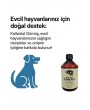 Kolloidal Gümüş Suyu 4*500 ml (2lt)